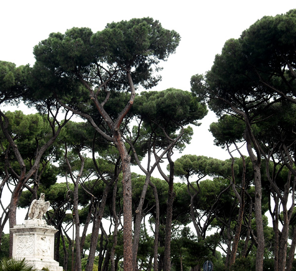 Pines of Rome – Part 1 – Pines of the Villa Borghese