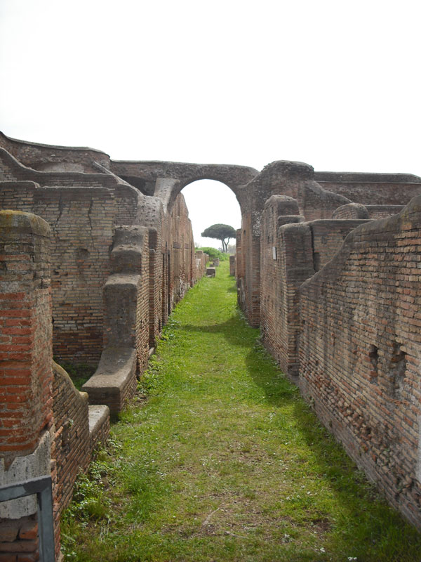 tree-through-ruins-ostia-antiqua